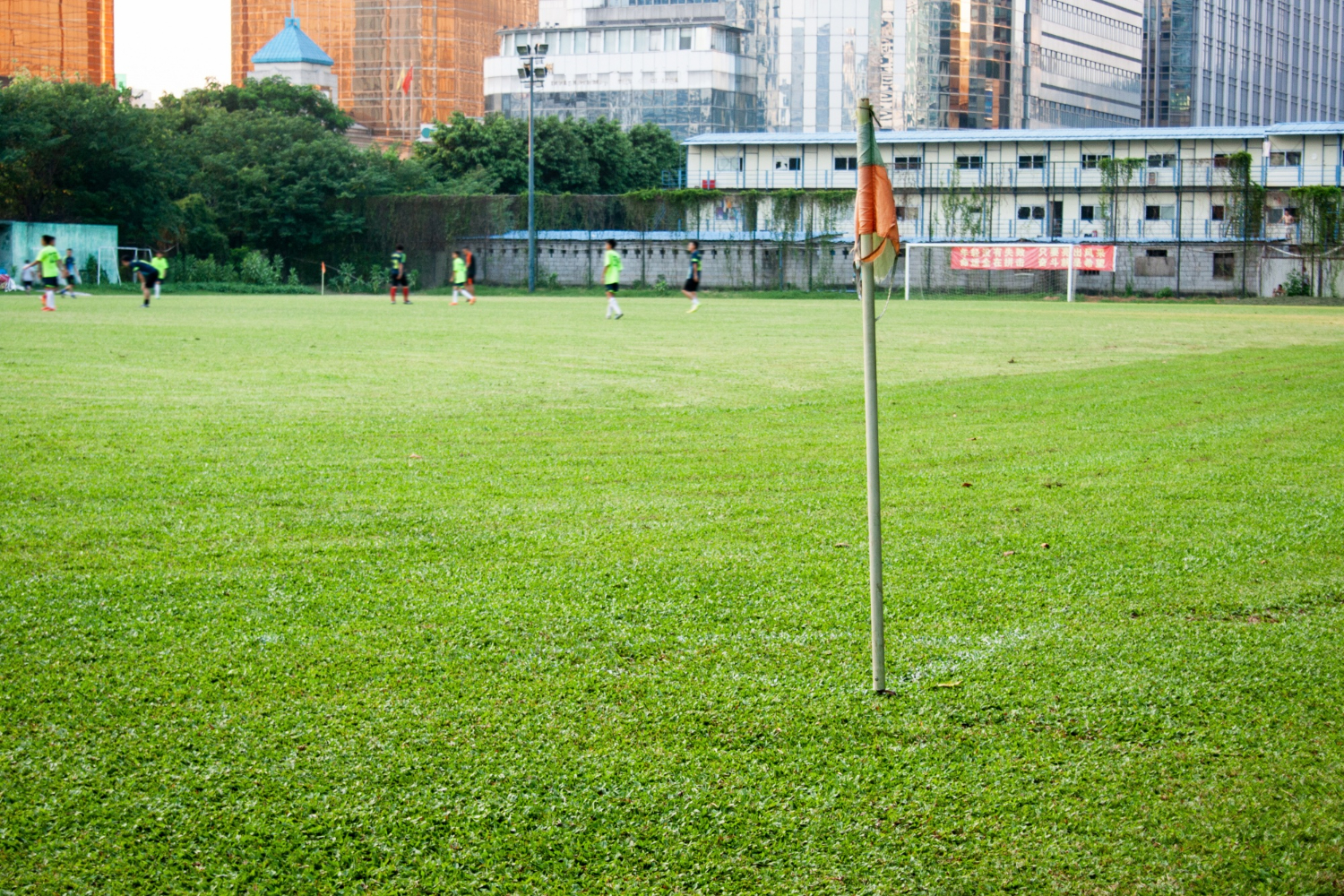Sports Field Construction